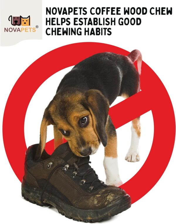 NOVAPETS Coffee Wood Dog Chew Stick for Small Dogs - Natural Dental Chewing Toy - Pack of 3 Size S - Image 5