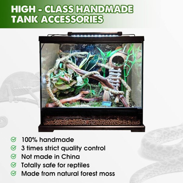 DUSPRO 10FT Reptile Vines Climbing Bendable Branch Reptile Natural Moss Rope Jungle Decor Bearded Dragon, Chameleon Tank Accessories Amphibian Habitat - Snake Gecko Lizard Terrarium (AS) - Image 5