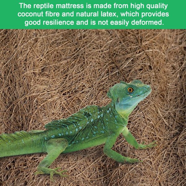 Midyrrg 2 Rolls Reptile Carpet Coconut Fiber Bearded Dragon Substrates Snake Tortoise Bedding Matting Tortoise Substrate Pet Terrarium Liner for Reptiles, Lizards, Anoles, Turtles (50x30cm) - Image 7