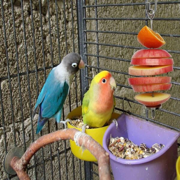 Bird Food Holder Parrot Foraging for Cage Hanging Stainless Steel Food Bowl Treat Skewer Food Basket for Conures - Image 6