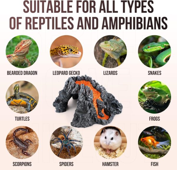 Reptile Cave Hideout Habitat, Great for Bearded Dragons, Leopard Geckos, Lizards, Turtles, Snakes, Frogs, Scorpions, Spiders and Other Reptiles, Amphibians (C - Extra Large) - Image 6
