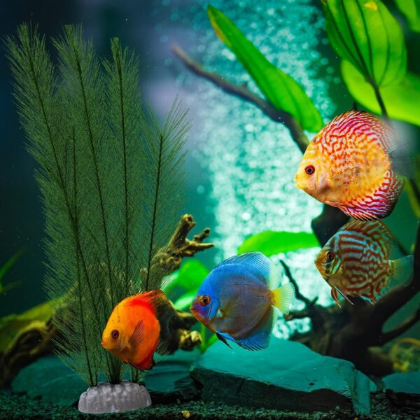 BLLREMIPSUR 2Pcs Aquarium Decorations Artificial Aquatic Plants, Fish Tank Ornament Artificial Green Plastic Plant for Aquarium Mountain Reef Rock Cave - Image 5