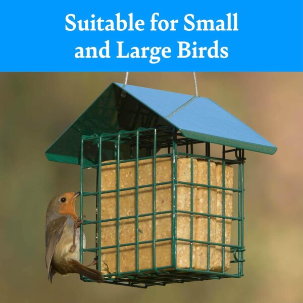 Vegan Suet Cakes for Wild Birds - with Peanuts, Ground Oats, and Rapeseed, High in Energy and Protein, Great for Suet Feeders and Bird Tables (10) - RSPB - Image 6