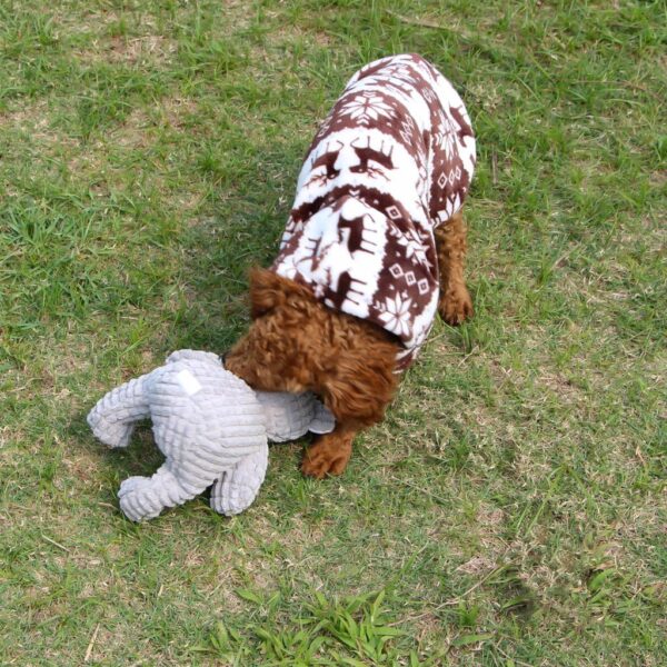 IFOYO Dog Squeaky Toy, Durable Dog Squeaker Toy 7.9 x 6.3 Inch Cute Sitting Bear Shaped Dog Interactive Toy Unique Tough Cloth Stuffed Dog Toy for Boredom - Image 4