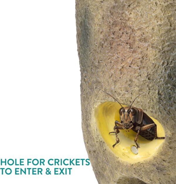 Navaris Reptile Cricket Feeding Rock - Realistic Polyresin Terrarium Stone Feeder for Reptiles with Hole for Crickets to Come Out - With Magnetic Lid and Window - Image 3