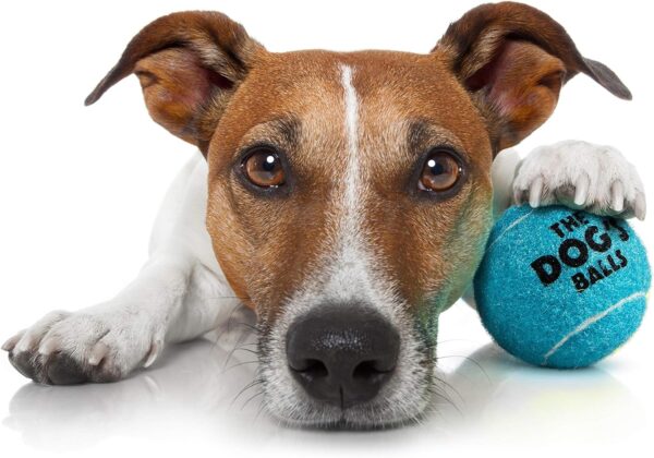 The Little Dog's Balls, Dog Tennis Balls, 6-Pack Small Blue Dog Toy, Strong Dog & Puppy Tennis Ball - Image 3