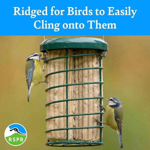 lavera Suet Logs for Wild Birds - with Mealworms for Extra Taste and Nutrition, High in Energy and Protein, Ridged for Better Grip, Great for Suet Feeders and Bird Tables (8 x 500g) - RSPB - Image 4