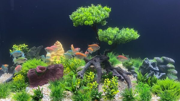 BEGONDIS 25Pcs Artificial Aquarium Plants Tree Set, Artificial Plastic Plants Fake Aquatic Plants Artificial Fish Tank Plants for Aquarium Decorations - Image 6