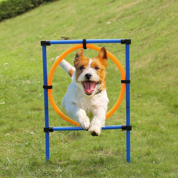 TEHONGMAI Dog Agility Equipments, Obstacle Courses Training Starter Kit 28 Piece, Pet Outdoor Games for Backyard Includes Jumping Ring, High Jumps, Slalom Poles with Carrying Case - Image 8