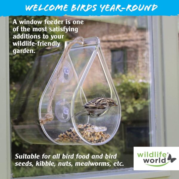 Wildlife World Dewdrop Clear Window Bird Feeder with Feeding Tray - Image 3