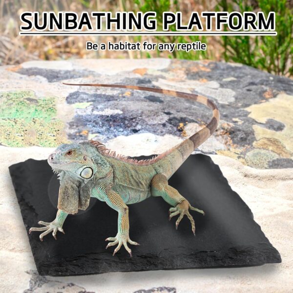 2pcs Tortoise Slate Reptile Basking Platform, 10x10cm Natural Square Slate Reptile Habitat Rock, Turtle Feeding Food Bowl Dish for Turtle Lizard Bearded Dragon Gecko Snake Landscape Habitat Decor - Image 4
