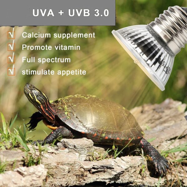 MBMYUCKY Reptile Heat Lamp 50w - Dimmable UVA UVB Light Reptile Kit Full Spectrum Tortoise Heat Lamp for Turtle Tank Bearded Dragon 4Pack - Image 3