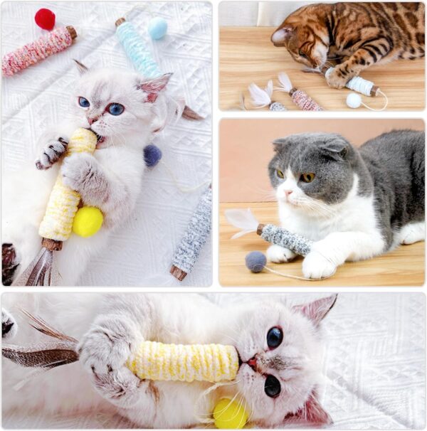 Silvervine Chew Sticks, Kitten Teething Toys for Indoor Cat Chew Toy Natural Matatabi Cat Catnip Sticks Cat Teeth Cleaning and Stress Release - Image 2