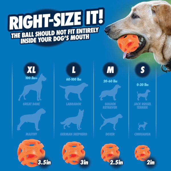 Chuckit! Air Fetch Dog Ball Durable Rubber Dog Toy Launcher Compatible Dog Balls, 10 Pack, Small - Image 4