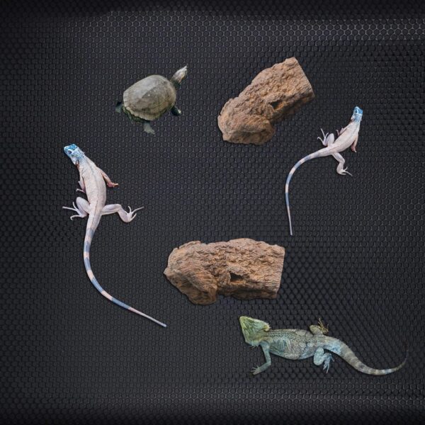 Large Reptile Carpet, Non-Adhesive Reptile Terrarium Bedding Substrate Liner Reptile Terrarium Mat Reptile Terrarium Carpet Mat for Reptile Tank Bearded Dragon Iguana Turtle Snakes (Black) - Image 6