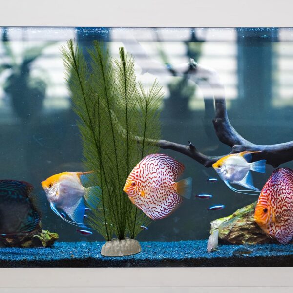BLLREMIPSUR 2Pcs Aquarium Decorations Artificial Aquatic Plants, Fish Tank Ornament Artificial Green Plastic Plant for Aquarium Mountain Reef Rock Cave - Image 6