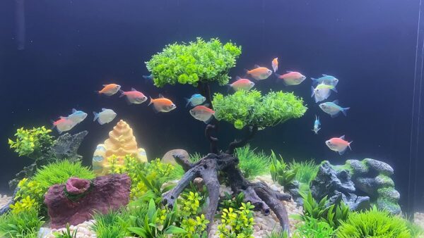 BEGONDIS 25Pcs Artificial Aquarium Plants Tree Set, Artificial Plastic Plants Fake Aquatic Plants Artificial Fish Tank Plants for Aquarium Decorations - Image 5
