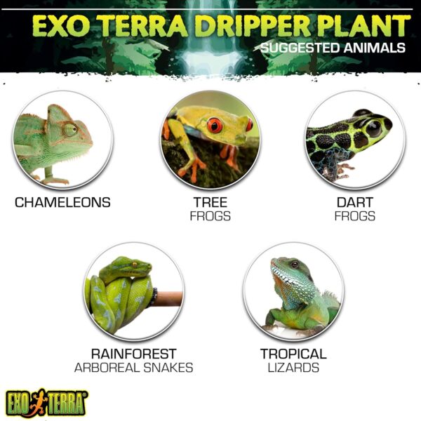 Exo Terra Dripping Plant Large including Pump,Green - Image 7