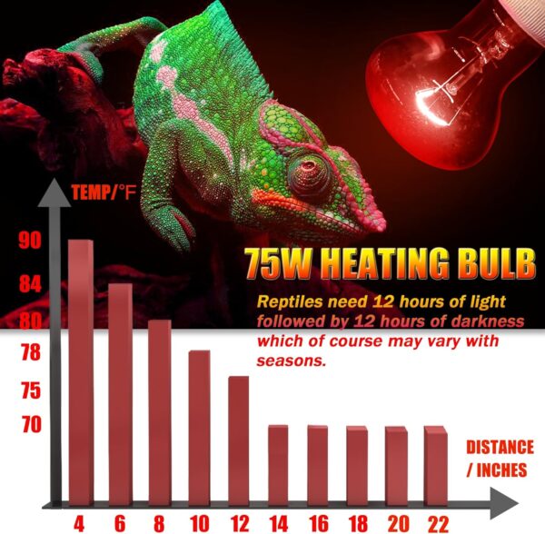 NEPTONION Reptile Infrared Heat Lamp, UVA 75W Red Heat Bulb Basking Spot Heating Lamp Suitable for Snake, Chameleon, Bearded Dragon, Spider, Gecko, Lizard - Image 4
