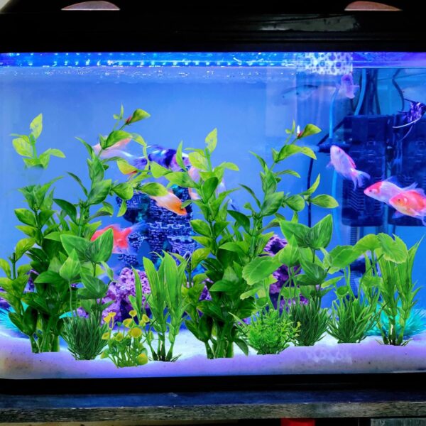 QUOZUO Fish Tank Accessories Aquarium Decorations Green Plants, 10pcs Green Fish Tank Decorations Plastic Plants, Fish Tank Decor, Aquarium Decor Plants - Image 4