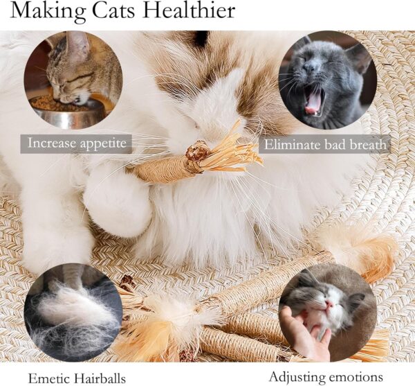 GIAPINST Natural Matatabi Silvervine Chew Sticks, Cat Catnip Sticks For Cats, Cat Catnip Toys For Indoor Cats Adult, Kitten Teething Dental Care, Increase Appetite and Stress Release(21 pcs) - Image 5