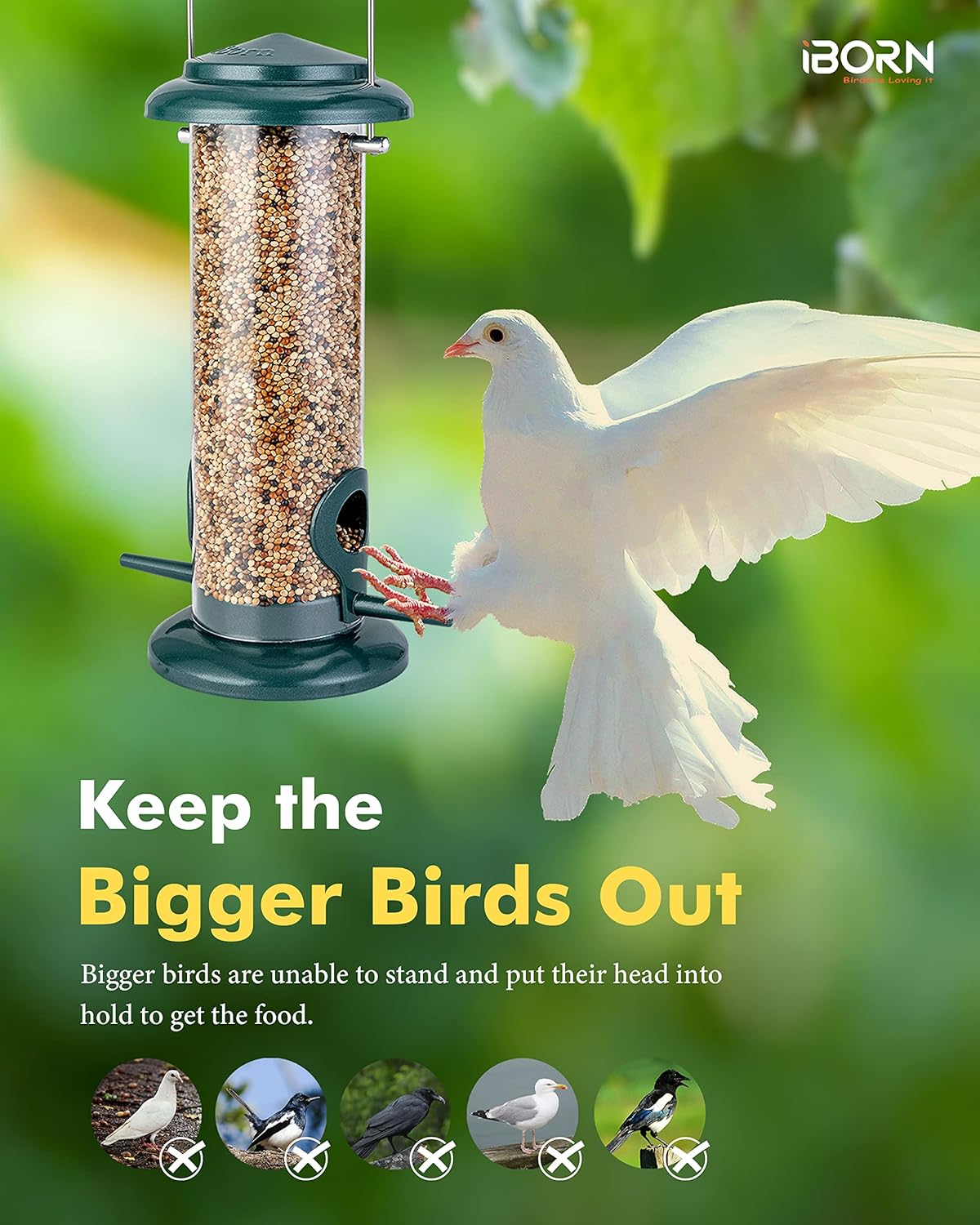 iBorn Metal Bird Feeders Hanging Bird Feeder For Small Birds for Garden Outdoors,Set of 2 Seed Feeder All Metal Painted Rust-resistant, Green - Image 4