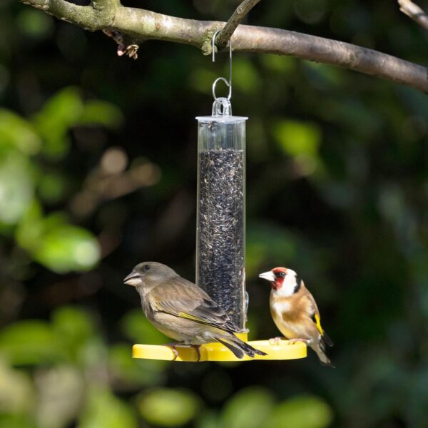 Jacobi Jayne® Pre-filled Niger Bird Feeders for Garden Birds Goldfinch Finder Pack of Two - Hanging Bird Feeders For Small Birds. Niger Bird Feeder Hanging Wire Included, Yellow - Image 3