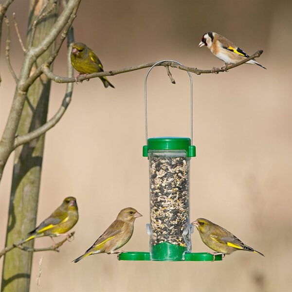 Bird Feeders Hanging Garden Bird Feeder - Jacobi Jayne® Get Set Go™ Hanging Seed Feeder For Wild And Garden Birds - Easy Clean Birdfeeder Perfect For Seed Blends And Bird Table Mixes - Image 3