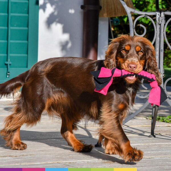 DogDirect London, DOG TUG TOY Tugger Tug Chase Rope SMALL: 45cm/17in, LARGE: 75cm/29in, Soft plaited Flexible FLEECE DOG TOYS Ideal FOR TRAINING, PUPPY PLAY, HAND MADE (Small, Orange) KAS4 - Image 5