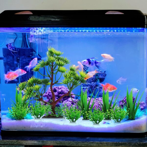 QUOZUO 10pcs Fish Tank Decorations, Fish Tank Accessories Aquarium Decorations Green Plants Plastic Tree Fish Decorations for Tank - Image 2