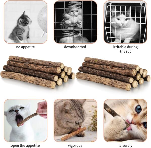 Newoutset 33 Pcs Cat Catnip Sticks, Cat Catnip Chew Toys Natural, Silvervine Matatabi Catnip Sticks Toys, Cat Kitten Teething Toys Sticks for Cat Kitten Teeth Cleaning, Including 3 x Cat Mouse Toy - Image 5