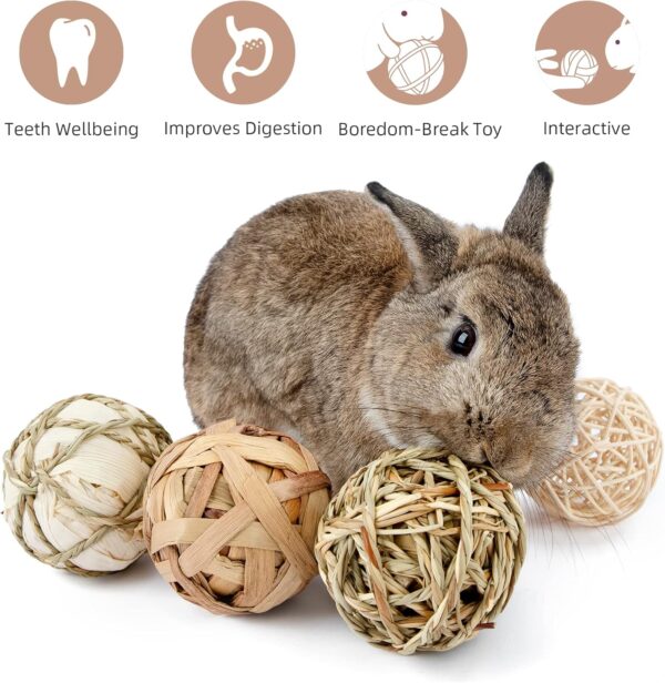 Niteangel Natural Chew Activity Toys Fun Safe Hay Grass Pet Balls for Chinchilla Guinea Pig Rats Rabbits Hamster Gerbil Degu Bunny and Other Small Animals (8 Balls) - Image 3