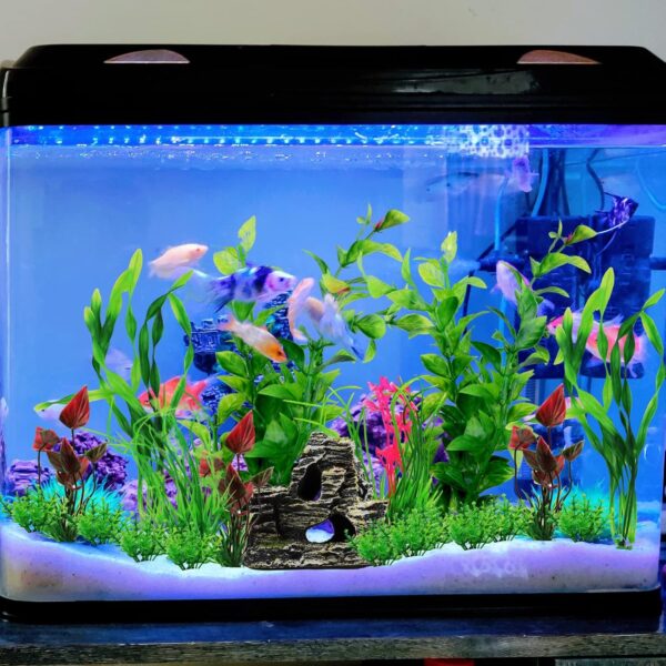 QUOZUO Fish Tank Accessories Aquarium Decorations Plants, 20pcs Green Fish Tank Decorations Plastic Plants and Cave Rock Decoration Decor Set, Aquarium Decor Plants - Image 6