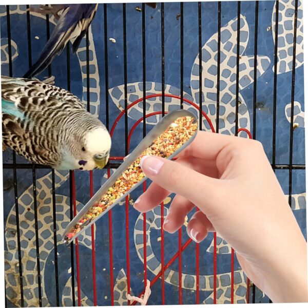 Yardwe 3pcs Feeder Pet Supplies Bird Food Added Tool Birds Food Birds Food Spoons Stainless Steel Food Scoop Pet Feeding Food Parrot Feeding Accessory Bird Food Scoop - Image 9
