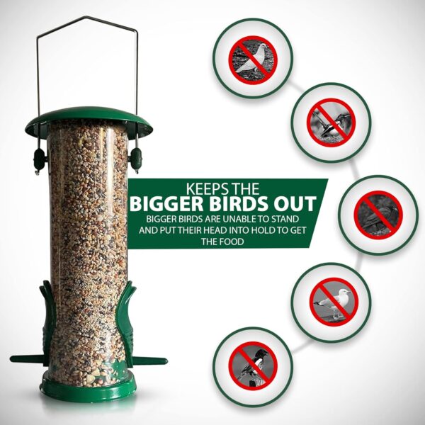 Home-Ed Hanging Bird Feeders for Small Birds Pack of 2 - Wild Bird Seed Feeder - Medium Size Feeders, Premium Quality & Sleek Design - Bird Feeder Station(Pack of 2) - Image 3