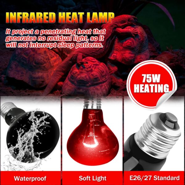 NEPTONION Reptile Infrared Heat Lamp, UVA 75W Red Heat Bulb Basking Spot Heating Lamp Suitable for Snake, Chameleon, Bearded Dragon, Spider, Gecko, Lizard - Image 3