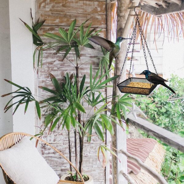 GLIBBUL Hanging Bird Feeder Square Metal Mesh Seed Platform Tray for Outdoor Patio Decoration for Wild Backyard Attracting Birds (2) - Image 7