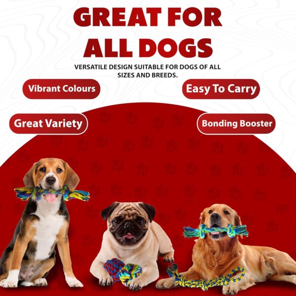 ZENO Dog Toys - Pack of 10 | Rope Chew Toys for Dogs | Strong Rope, Ball & Tug for Teething & Training | Puppy Teething Toys | 100% Natural Cotton | Great for Small, Medium & Large Puppies & Adults - Image 6