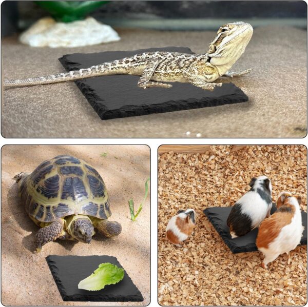 Reptile Basking Slate Platform Aquarium Tortoise Bathing Resting Platform,10x10cm Turtle Habitat Slate Pad Turtle Feeding Food Bowl Dish Resting Natural Rock Platform Accessories Decoration(Black) - Image 6