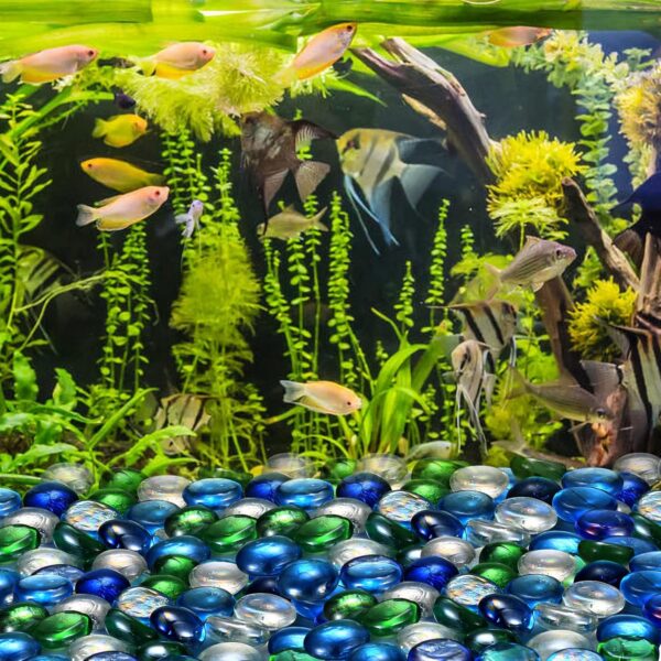 YITYDaMai 1KG Mixed Color Glass Pebbles, Decorative Clear Flat Round Glass Beads Stones Marbles for Vase Garden Plant Pots Flowerpot Aquarium Filler Decorations - Image 7