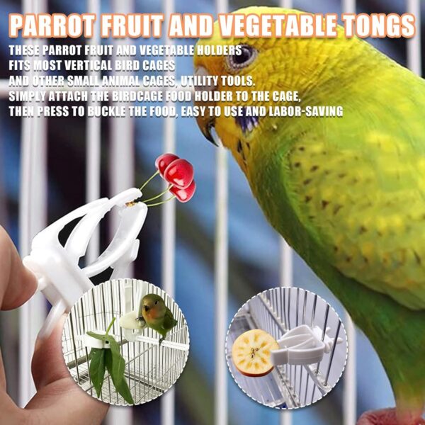 Budgie Food Holder,4PCS Stainless Steel Parrot Skewer Feeder and Plastic Bird Food Clips Set,Bird Treats Fruit Stick Holder Clip Foraging Toy for Parrot Budgie Parakeet Cockatiel Cage (Silver+White A) - Image 6