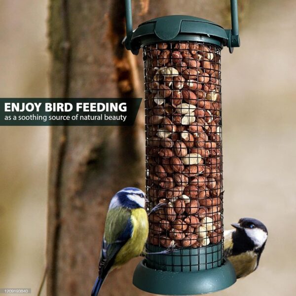 Home-Ed Hanging Bird Feeders for Small Birds Pack of 3 - Wild Bird Seed Feeder - Multiple Size Feeders, Premium Quality & Sleek Design - Bird Feeder Station - Image 4