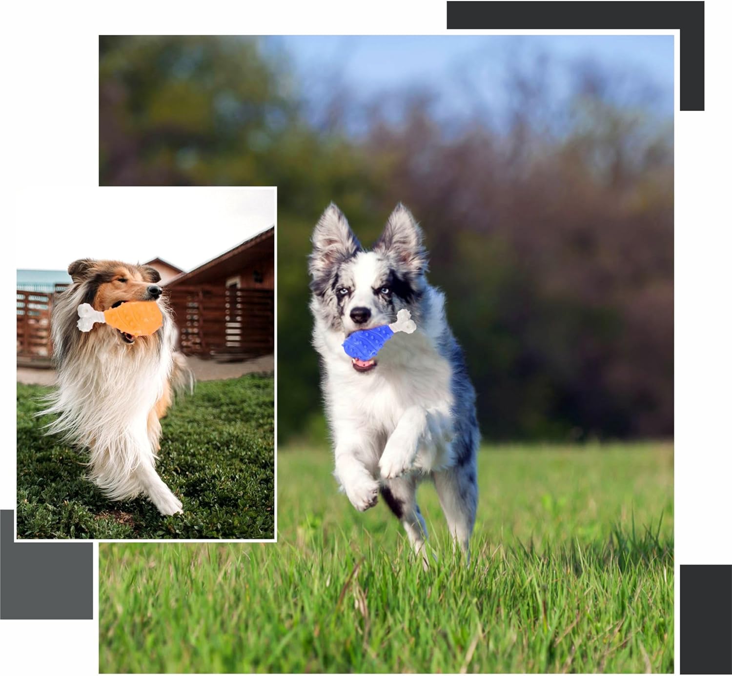 ADLAM Dog Bone Toy Indestructible Teething Chew Dental Bones Tough Chewers Strong Gentle Pet Toys Gift Dogs Puppies Cleans Teeth Puppy Training Play Game Assorted Color (1Pc) - Image 5