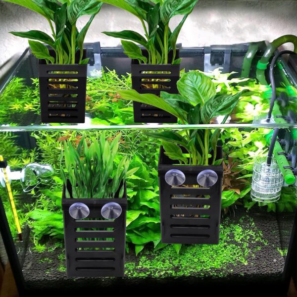 2Pcs Upgraded Aquarium Plant Holder with Hooks and Suction Cups - Multipurpose Hydroponic Plant Cultivation & Aquascaping - Image 6