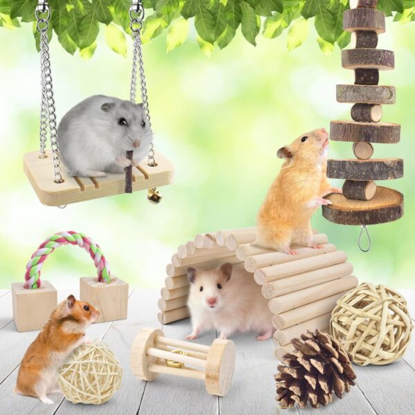 ERKOON Hamster Chew Toys, Hamster Toy Syrian Boredom Breakers Natural Wooden Teeth Care Small Animal Molar Toys, Dumbbell Bridge Swing Seesaw for Small Pet Hamster Rabbits, Gerbils, Guinea Pig - Image 6