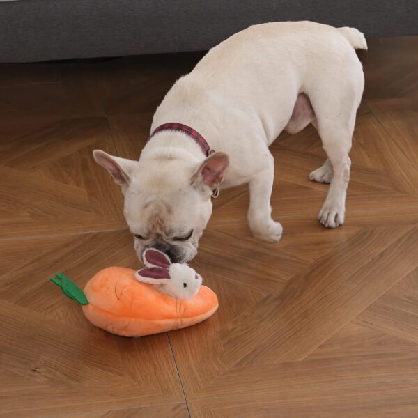 Amazon Basics Rabbit and Carrot Puppy/Dog Toys for Hide and Seek with Soft Plush, 5 Count (Pack of 1) Orange and White - Image 7