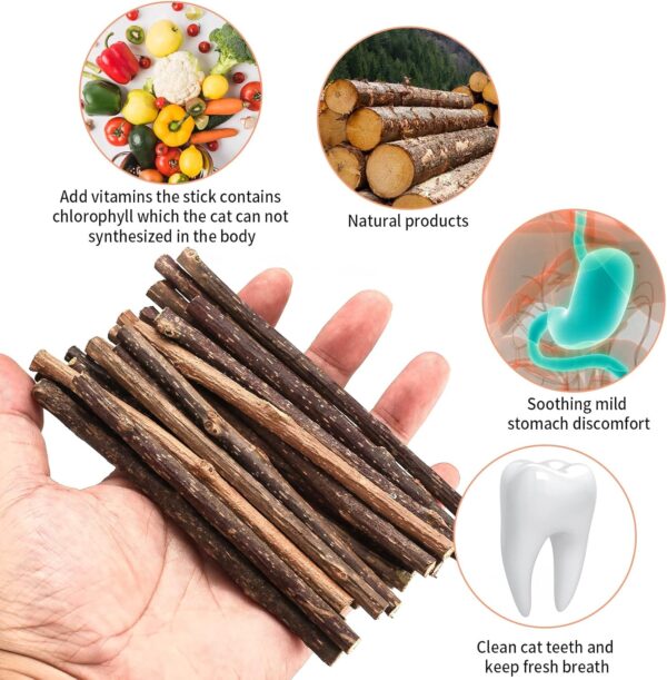 Newoutset 33 Pcs Cat Catnip Sticks, Cat Catnip Chew Toys Natural, Silvervine Matatabi Catnip Sticks Toys, Cat Kitten Teething Toys Sticks for Cat Kitten Teeth Cleaning, Including 3 x Cat Mouse Toy - Image 3