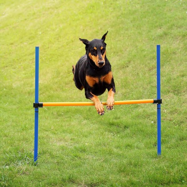 TEHONGMAI Dog Agility Equipments, Obstacle Courses Training Starter Kit 28 Piece, Pet Outdoor Games for Backyard Includes Jumping Ring, High Jumps, Slalom Poles with Carrying Case - Image 7