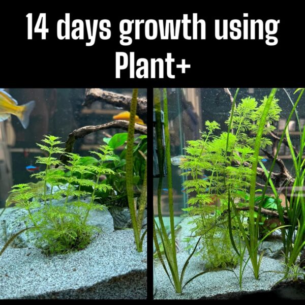 AquaDesign PLANT+ 2500ML Aquarium Plant "all in one" Complete Liquid Fertiliser - Image 5