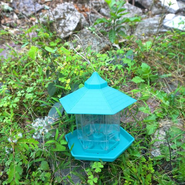 Zeqeey Hanging Mix Seed Blends Bird Feeder, Sunflower Heart Peanuts Nut Seed Birdfeeder Food Holder for Feeding Outdoor Garden Wildlife Little Birds Attracting Dunnocks Sparrows Robins - Image 5
